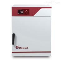 GZX-9306MBE电热鼓风干燥箱