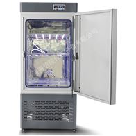 微生物霉菌培养箱MJ-800恒温800升实验箱